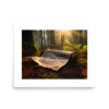 Wooded Paper | Vanishiro Collection
