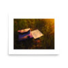 Fielded Letter | Vanishiro Collection